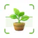 Plantas Identificador cuidado