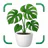 AI Reconocer Plantas Español icon