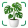AI Reconocer Plantas Español
