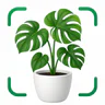 AI Reconocer Plantas Español icon