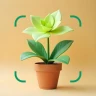 花の名前を調べる: しょくぶつ図鑑 - 樹木判別 icon