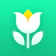Plant Parent - Guide entretien