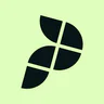 Playbypoint icon