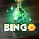 Bingo Diary