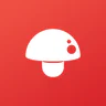 Print Master icon
