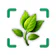 Identificateur de plantes