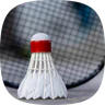 Badminton Legends icon