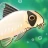 Pondlife — Relaxing Fish Game icon