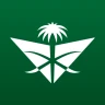 Saudia icon