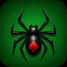 Spider Solitaire icon
