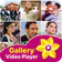 Reels Style HD Video Player