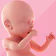 Pregnancy Tracker & Day by Day
