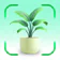 Reconocimiento De Plantas App