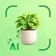 Plantes IA: Scan & Soin