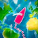 Virtual Regatta