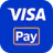 Visa Pay icon