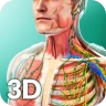 Human Anatomy icon