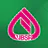 VBSP SmartBanking icon