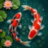 3D Fish Aqua Live Wallpaper icon