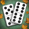 Domino Fever - Tile Master icon
