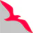 Air Arabia (official app) icon