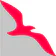 Air Arabia (official app)