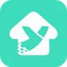 YoLink icon
