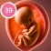 Suivi de grossesse et bébé