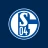 FC Schalke 04 icon