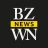 Braunschweiger Zeitung News icon