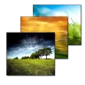 Wallpaper Changer icon
