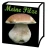 Meine Pilze (Pilzbestimmung) icon