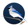 BirdNET Live icon