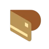 Spending Tracker - Paisa icon