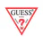 Guess icon