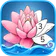 Zen Color - Color By Number