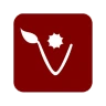 AlfaDPF icon
