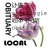 Local Obituary Search icon