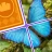 ジグソードロップ：ソリティアパズル icon