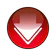 Video Downloader Pro