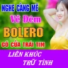 Nhạc bolero trữ tình icon