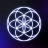 Joy: Dein Human Design Profil icon