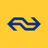 NS icon