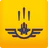 Sky Force Anniversary icon
