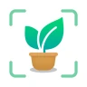 Identifica y Cuida Plantas icon
