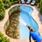 ASMR Cleaning: Home Makeover icon