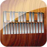 Professional Xylophone icon