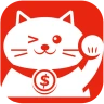 GoVn icon