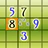 Sudoku Pro icon