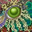 Gorogoa icon